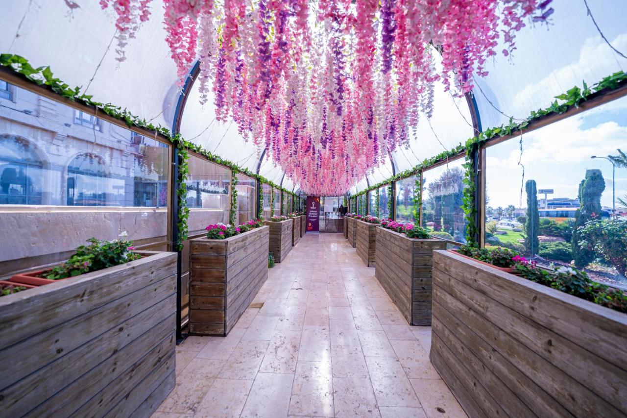 Hotel Olive Tree 4*