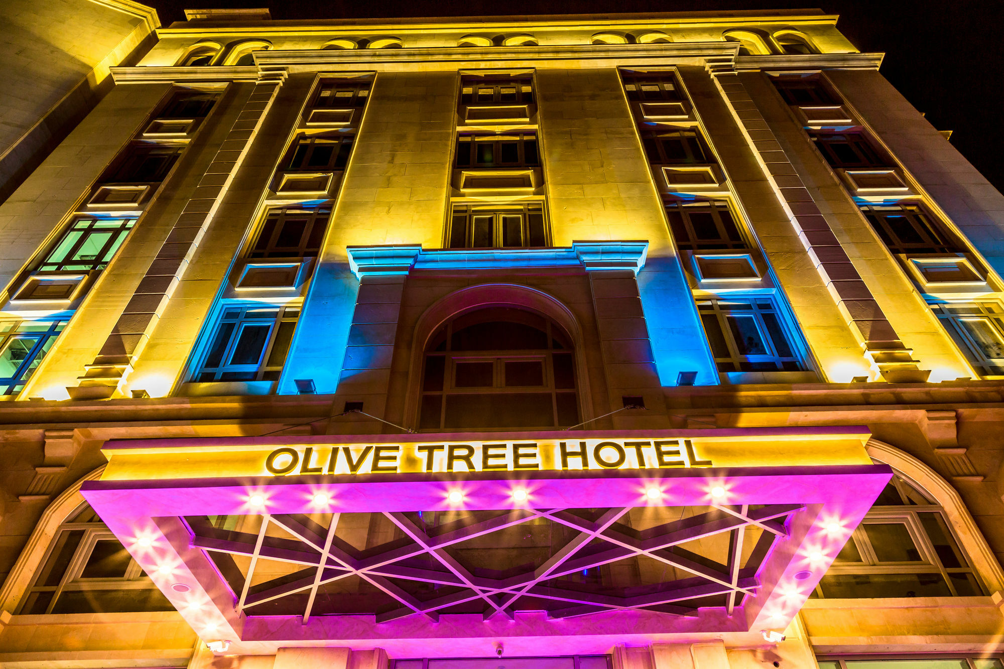 Olive Tree 4*