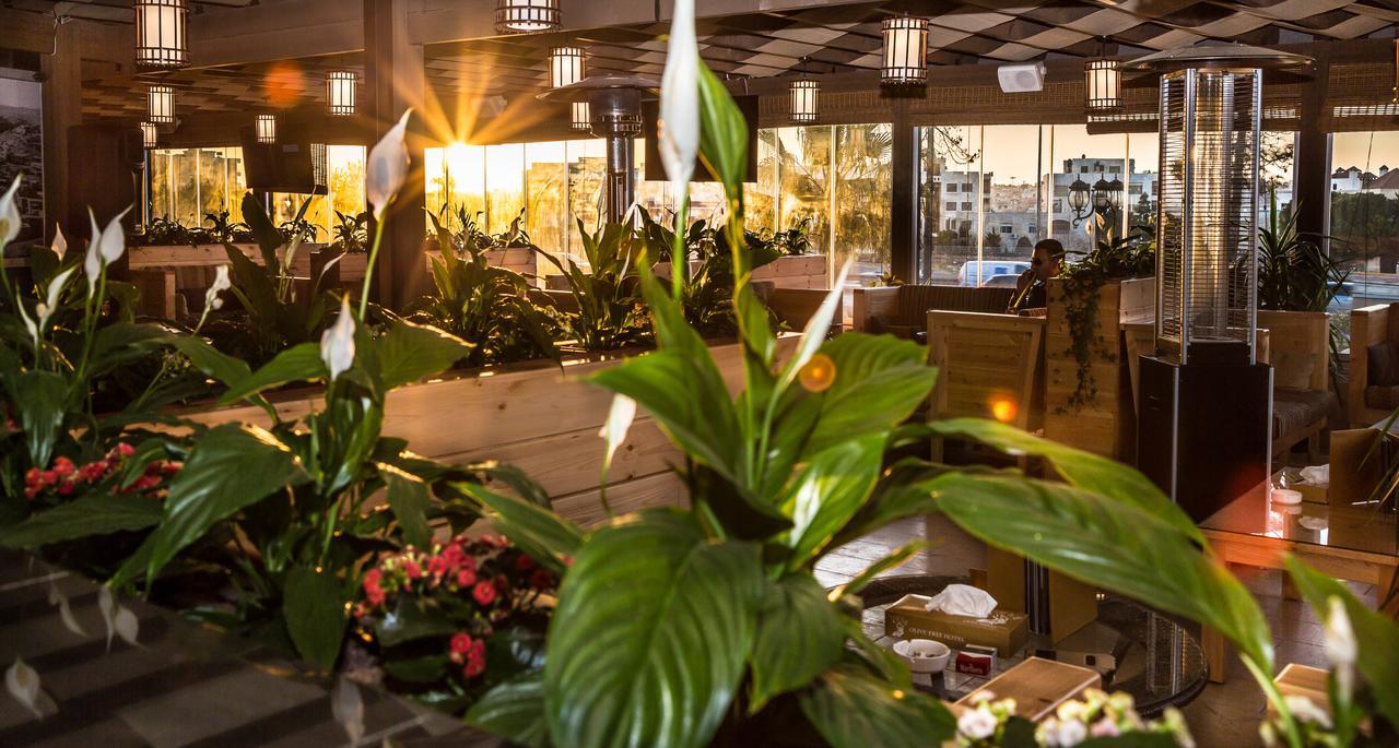 Hotel Olive Tree 4*